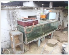  2025Ÿ494 泲 ؽ ̸  1050-4      ð