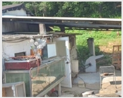  2025Ÿ494 泲 ؽ ̸  1050-4      ð