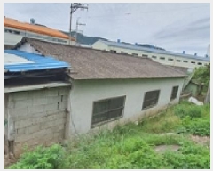  2025Ÿ494 泲 ؽ ̸  1050-4      ð