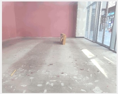  2025Ÿ��502 �泲 â���� ��â�� �ߵ� 784-1 ��ݺ긯�� ��Ʃ�����Ʈ��Ʈ���� 1��1077ȣ   ��,�繫�ǰ��