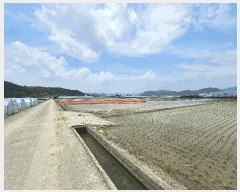  2025Ÿ��512  ����