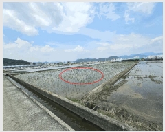  2025Ÿ��512  ����