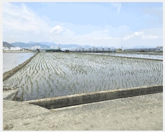  2025Ÿ��512  ����