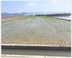  2025Ÿ��512  ����