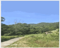  2025Ÿ��549  �Ӿ߰��