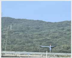  2025Ÿ��549  �Ӿ߰��