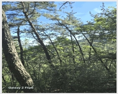  2025Ÿ��549  �Ӿ߰��