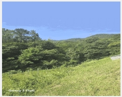  2025Ÿ��549  �Ӿ߰��