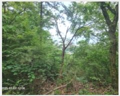  2025Ÿ��549  �Ӿ߰��