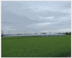  2025Ÿ��617  ����