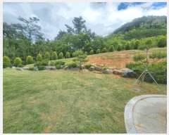  2025Ÿ��11413  �Ӿ߰��