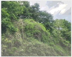  2025Ÿ��11413  �Ӿ߰��