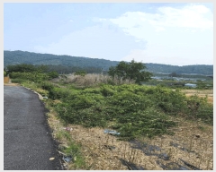  2025Ÿ��11426 �泲 â���� ��â�� ���� ������ 173-2     ����(��1)���