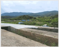  2025Ÿ11426 泲 â â   114     ()