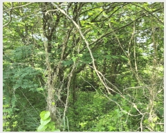  2025Ÿ11426 泲 â â   114     ()