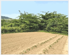  2025Ÿ11426 泲 â â   114     ()