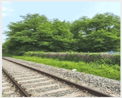  2025Ÿ11426 泲 â â   114     ()