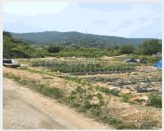  2025Ÿ11426 泲 â â   114     ()