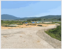  2025Ÿ11426 泲 â â   114     ()