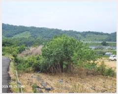  2025Ÿ11426 泲 â â   114     ()