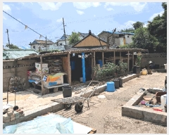  2025Ÿ��11554 �泲 ���ؽ� ���ϵ� 13-5       ���ð��