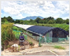  2025Ÿ��11821 �泲 ���ؽ� �뵿�� ������ 1022-5      ����,â�����