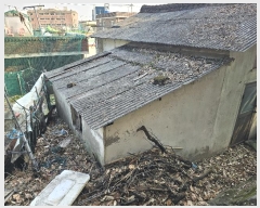  2025Ÿ��40  ���ð��