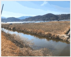  2025Ÿ��316 �泲 ���ؽ� ȭ�� 207-2       ����(��)���