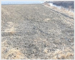  2025Ÿ��316 �泲 ���ؽ� ȭ�� 207-2       ����(��)���