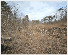  2025Ÿ��358  �Ӿ߰��