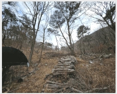  2025Ÿ��358  �Ӿ߰��