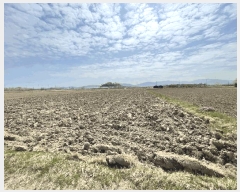  2025Ÿ��431  ����