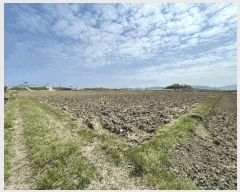  2025Ÿ��431  ����