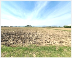  2025Ÿ��431  ����