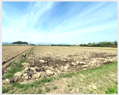  2025Ÿ��431  ����