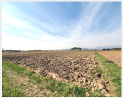  2025Ÿ��431  ����