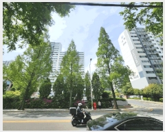  2025Ÿ��459  ����Ʈ���