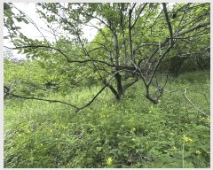  2025Ÿ��470 �泲 ���ؽ� ������ ���縮 554      ����(��1)���