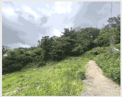  2025Ÿ��470 �泲 ���ؽ� ������ ���縮 554      ����(��1)���