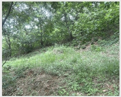  2025Ÿ��470 �泲 ���ؽ� ������ ���縮 554      ����(��1)���