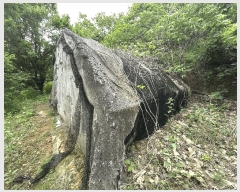  2025Ÿ��470 �泲 ���ؽ� ������ ���縮 554      ����(��1)���