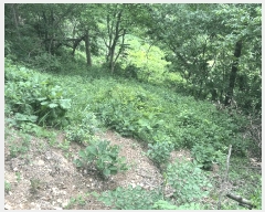  2025Ÿ��470 �泲 ���ؽ� ������ ���縮 554      ����(��1)���