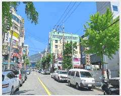  2025Ÿ��559 �泲 â���� ��â�� �ȿ뵿 160-3      �ٸ��ü�,�󰡰��