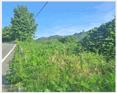  2025Ÿ��578 �泲 â���� ��â�� �ϸ� ��õ�� 854-1     ����(��1)���