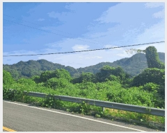  2025Ÿ��578 �泲 â���� ��â�� �ϸ� ��õ�� 854-1     ����(��1)���