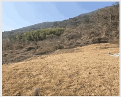  2025Ÿ10146 泲 â â ϸ ̸ 139     (1)