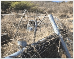  2025Ÿ10146 泲 â â ϸ ̸ 139     (1)