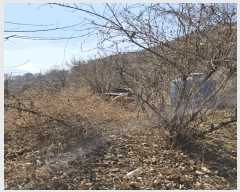  2025Ÿ10146 泲 â â ϸ ̸ 139     (1)