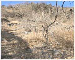  2025Ÿ10146 泲 â â ϸ ̸ 139     (1)