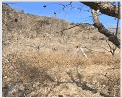  2025Ÿ10146 泲 â â ϸ ̸ 139     (1)